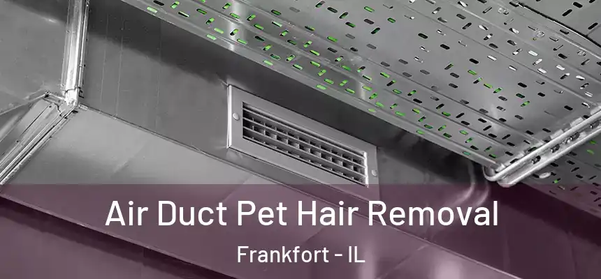  Air Duct Pet Hair Removal Frankfort - IL