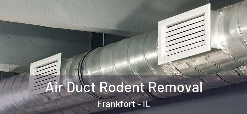  Air Duct Rodent Removal Frankfort - IL