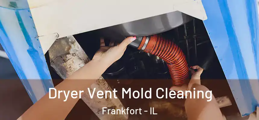  Dryer Vent Mold Cleaning Frankfort - IL