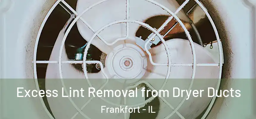  Excess Lint Removal from Dryer Ducts Frankfort - IL