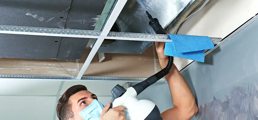 Our Air Duct Rodent Removal Services in Frankfort, IL