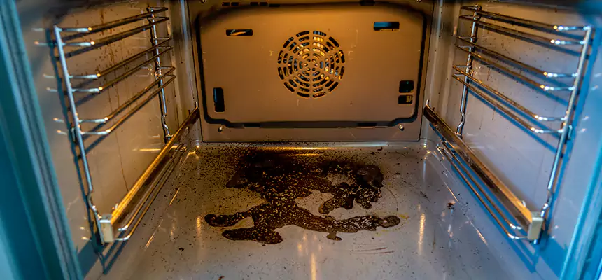 Our Dryer Vent Mold Cleaning Services in Frankfort, IL