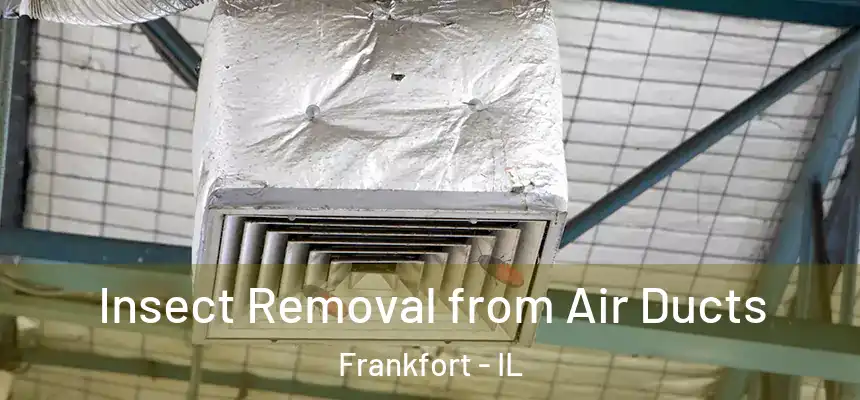  Insect Removal from Air Ducts Frankfort - IL