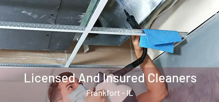  Licensed And Insured Cleaners Frankfort - IL