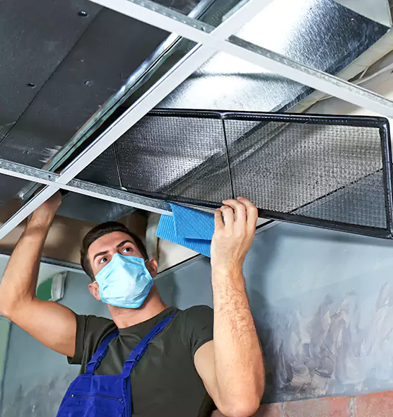 Professional Air Duct Pollen Cleaning in Frankfort, IL