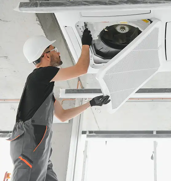 About Air Duct Rodent Removal in Frankfort, IL