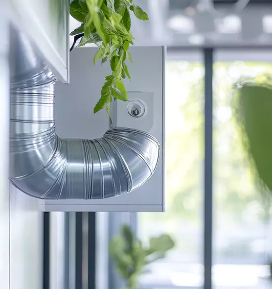 Professional Eco-Friendly Duct Cleaning Services in Frankfort, IL