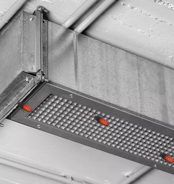 Affordable Insect Removal from Air Ducts in Frankfort, IL