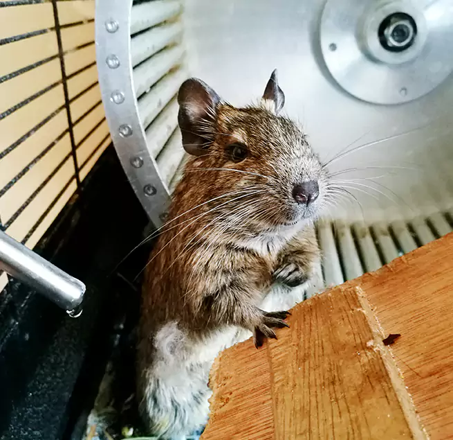 Why Homeowners & Businesses Trust Us Frankfort, IL