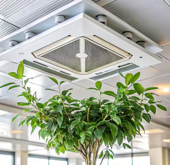 Why Homeowners & Businesses Trust Us in Frankfort, IL